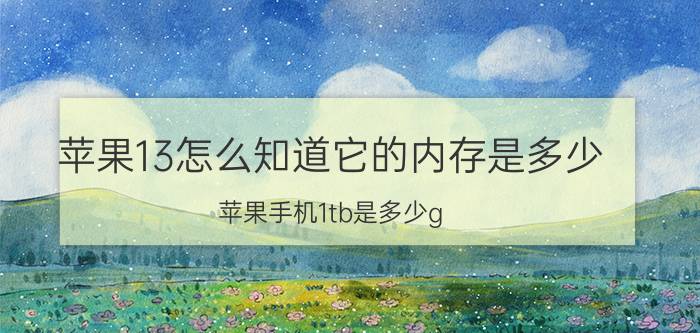 苹果13怎么知道它的内存是多少 苹果手机1tb是多少g？